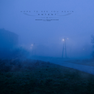 看片免费播放器
